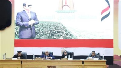 حصاد الإنجازات وتوجيهات مشددة خلال المجلس التنفيذي للوادي الجديد 