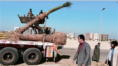 رئيس جهاز طيبة الجديدة يتابع أعمال الزراعة بالمدينة