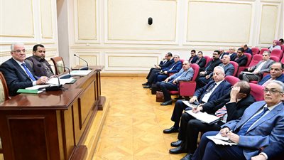 زراعة النواب تناقش خطة الحكومة للتوسع في زراعة المحاصيل الاستراتيجية