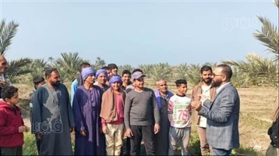 المعمل المركزي للنخيل ينظم يوما حقليا لمزارعي المنيا