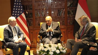 وزير الخارجية يستقبل عضوين بمجلس الشيوخ الأمريكي