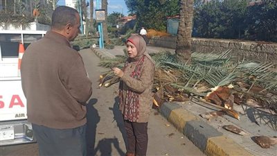 جولة تفقدية لرئيس حي الجمرك بالإسكندرية لمتابعة رفع كفاءة التشجير