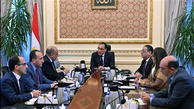 مدبولي ووزير قطاع الأعمال يبحثان جهود تطوير محالج القطن وإعادة تأهيلها