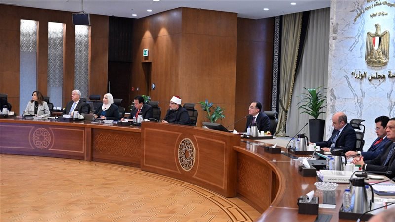 مجلس الوزراء، فيتو