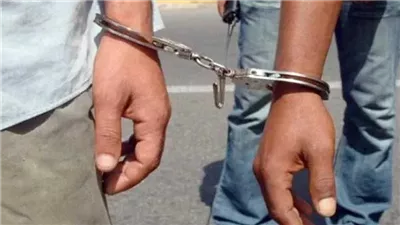 ضبط 25 عاطلا بحوزتهم مواد مخدرة وأسلحة خلال حملة أمنية بالقليوبية 