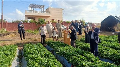 الزراعة تنظم ندوات إرشادية لمكافحة سوسة النخيل