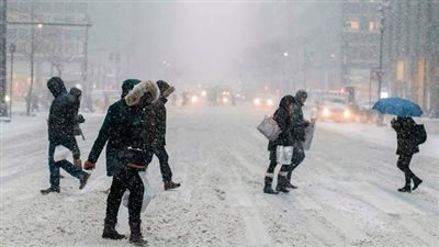 في السويد والنرويج، أكثر ليالي يناير برودة منذ ربع قرن