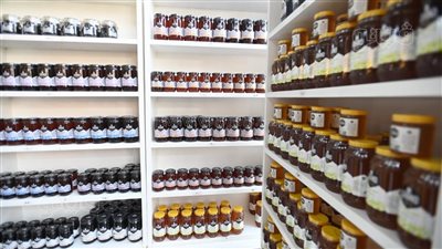 الحكومة لديها آليات غير جيب المواطن، تحرك برلماني لمواجهة انفلات الأسعار