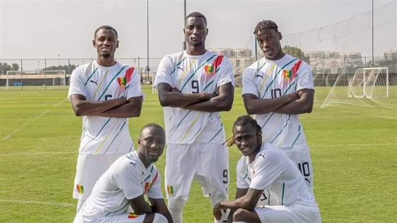 منتخب غينيا، فيتو