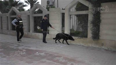 حملة بمحيط المدارس والجامعات والأندية تضبط 98 ديلر مخدرات (صور)