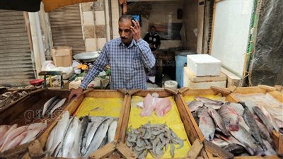 أسعار الأسماك اليوم، 390 جنيهًا أعلى سعر لكيلو السبيط بسوق العبور 