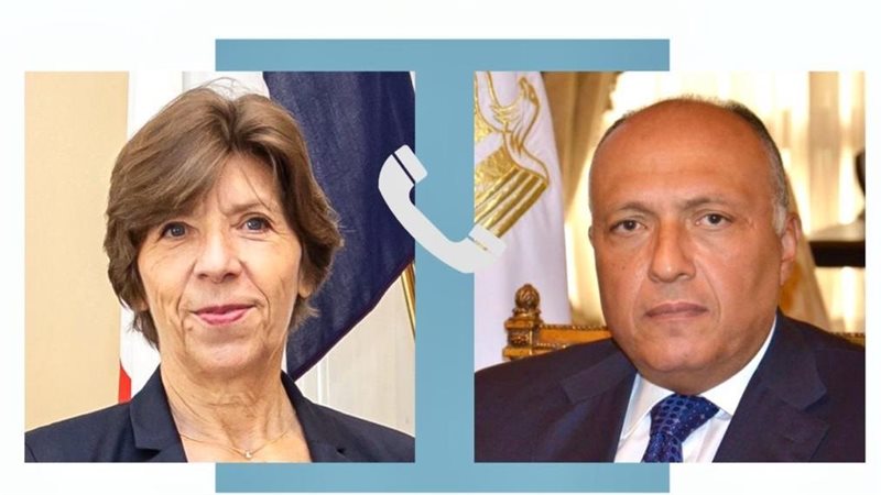 سامح شكرى وزير الخارجية،