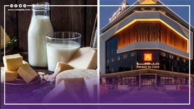 نشرة الأخبار، رئيس بنك مصر: نتوقع جمع 500 مليار جنيه من الشهادات الجديدة، ارتفاع أسعار الزبادي والجبن والألبان