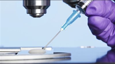 ما حكم الاستفادة من الأجنة المجهضة في التجارب العلمية والعلاج وزراعة الأعضاء؟ دار الإفتاء تجيب