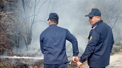 إخماد حريق اندلع بأرض زراعية بطريق الإسماعيلية - بورسعيد (صور) 