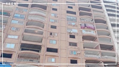 جريمة شرف.. قصة رجل الأعمال والسكرتيرة داخل شقة المعصرة (فيديوجراف)