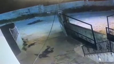 لحظة اغتيال جنود الاحتلال لـ 3 شبان فلسطينيين في طولكرم والتنكيل بجثمان أحدهم (فيديو)