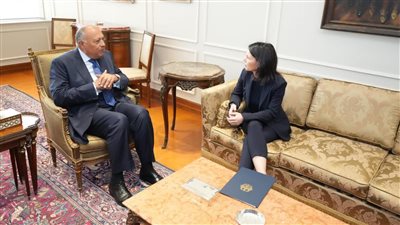 شكري: وزيرة خارجية ألمانيا ستتفقد الجهود المصرية في توفير المساعدات لغزة (بث مباشر)