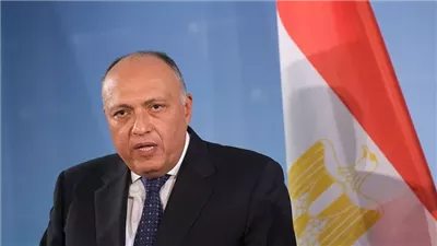 وزير الخارجية يؤكد ضرورة وقف إطلاق النار بشكل فوري في غزة