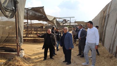 مدير معهد بحوث الإنتاج الحيواني يتفقد مراعي الفرما بشمال سيناء