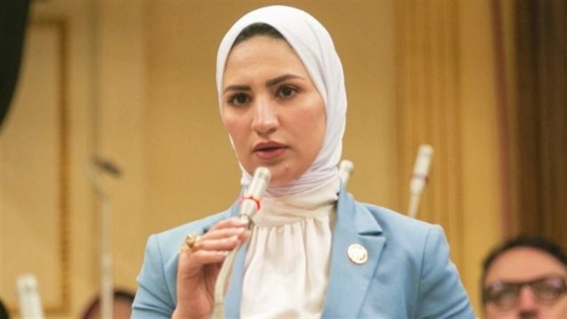 النائبة نشوى رائف،