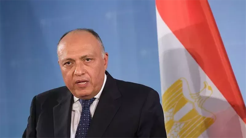 سامح شكري، فيتو