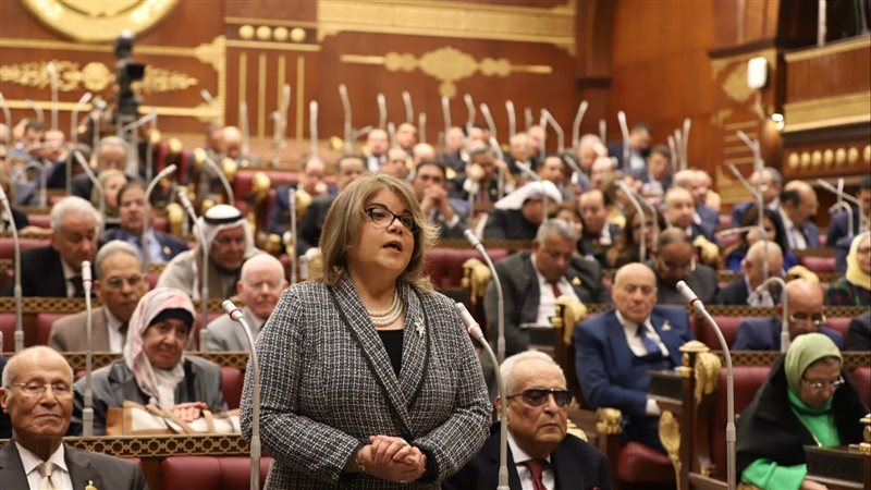 فيبي فوزي وكيل مجلس