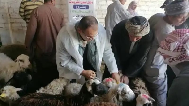 تنفيذ الحملة، فيتو