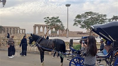 الغيوم ترسم لوحة جمالية بشوارع مدينة الأقصر (صور)