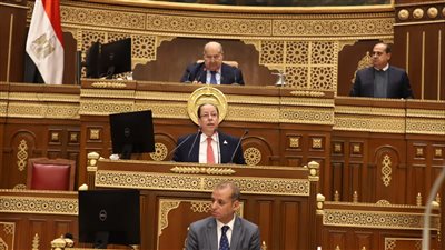 مجلس الشيوخ يرفض رفع الحصانة عن النائب هشام الحاج على فى دعوى التعدي على الأرض الزراعية