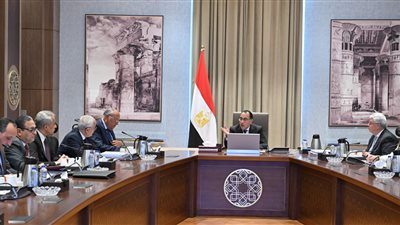 بشرى سارة للراغبين في السفر، حصر احتياجات الدول من العمالة المصرية.. والحكومة تكلف بوضع برامج للتدريب ومعايير اختيار.. وإصدار التراخيص بشكل عاجل