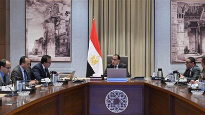 رئيس الوزراء يتابع مستجدات الموقف التنفيذي لمبادرة فحص المقبلين على الزواج