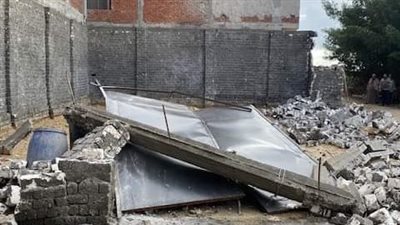 رئيس حي شرق الإسكندرية: تنفيذ 10 قرارات إزالة حالات تعد على أراض زراعية وأملاك دولة 