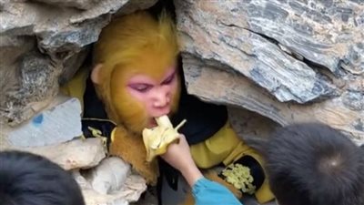 براتب خيالي، وظيفة غريبة تتطلب ارتداء زي قرد وتناول الموز 