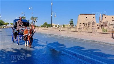 حلاوة شمسنا، طقس الأقصر اليوم صافي بدون غيوم (صور)