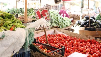 أسعار الخضراوات اليوم، سعر الطماطم يواصل الانخفاض في سوق العبور