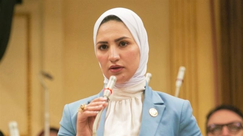  النائبة نشوى رائف،