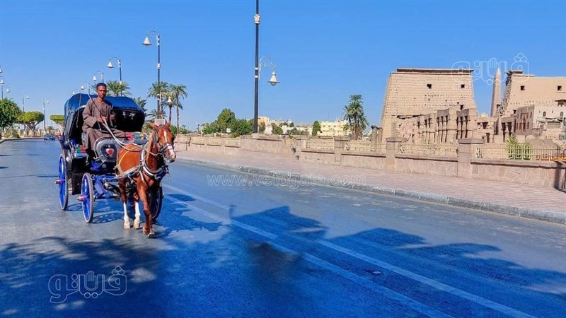 طقس الأقصر، فيتو