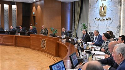 مدبولي: الرئيس يواصل جهود التنسيق للوصول لحلول للأزمة الراهنة في غزة