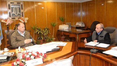 بالتعقيم وحملات المرور، بيطري أسيوط يضع خطة لمواجهة ظاهرة انتشار الكلاب الضالة