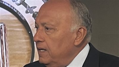 سامح شكري يشكر الصين على دعمها لقرار الأمم المتحدة بإدخال المساعدات إلى غزة