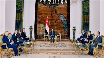 مصر وأمريكا ترفضان تهجير الفلسطينيين من أراضيهم والتمسك بمسار حل الدولتين