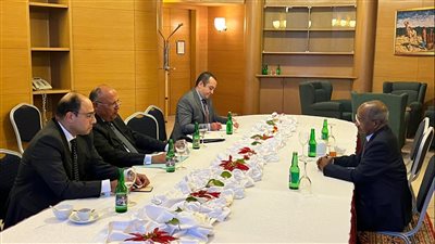 شكرى يعقد جلسة مباحثات مع وزير خارجية إريتريا