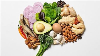 أستاذة بالقومي للبحوث تكشف 8 أطعمة لزيادة التركيز ومحاربة النسيان