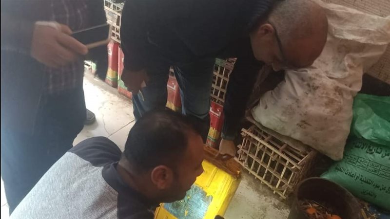 صحة الدقهلية، فيتو