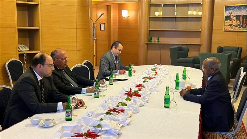 سامح شكرى وزير الخارجية،