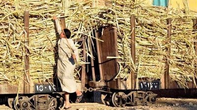 بسبب عود قصب، تفاصيل نهاية طفل الأقصر تحت عجلات قطار الديكوفيل