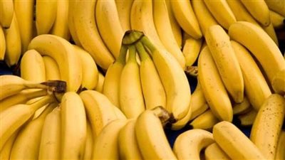 بساتين الأقصر: الاهتمام بزراعة الموز يحقق توازنا سعريا طوال العام 