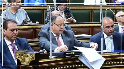 منها زيادة المرتبات والمعاشات.. أبرز تصريحات وزير المالية (إنفوجراف)