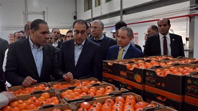 أخبار مصر اليوم.. هيئة الأرصاد الجوية تحذر من الصقيع غدا.. رئيس الوزراء خلال تفقد مشروعات زراعية: التقليل من مياه الري يرفع نسبة التصدير